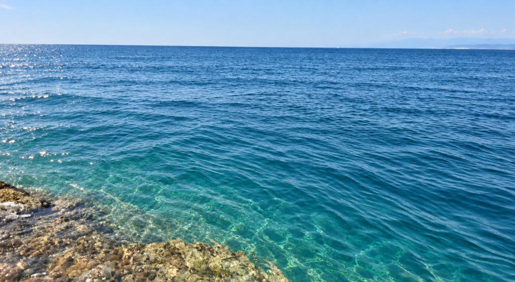 かもめ島 海