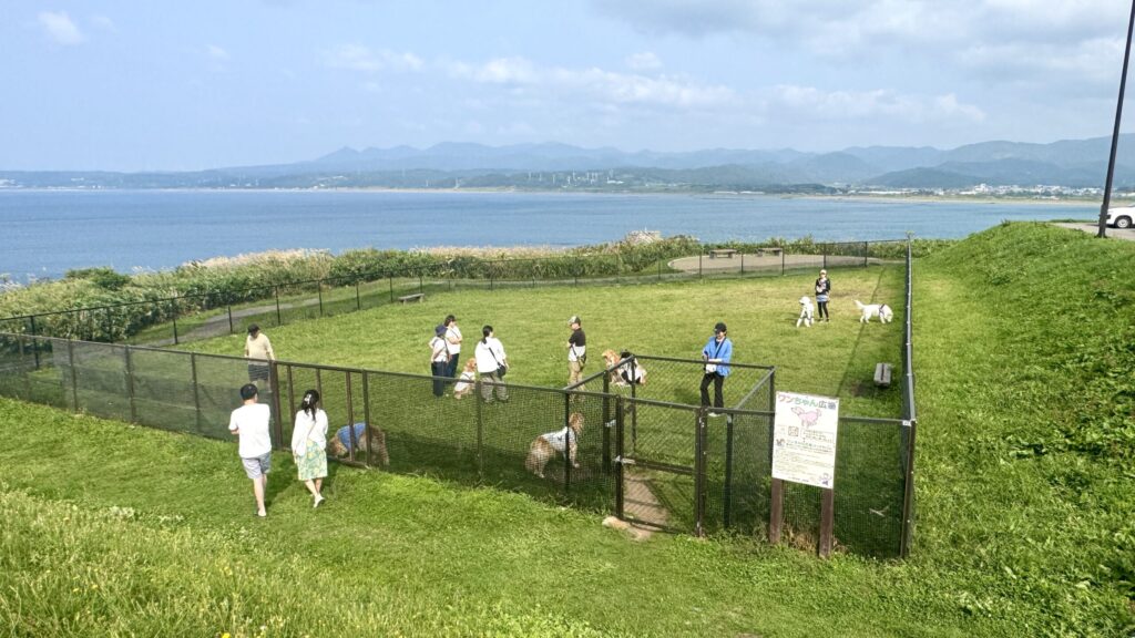 道の駅上ノ国もんじゅのドッグラン