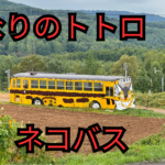 深川市　トトロ峠