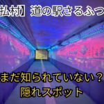 さるふつ公園地下歩道アイキャッチ