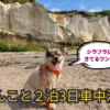 道南車中泊旅　アイキャッチ　シラフラ