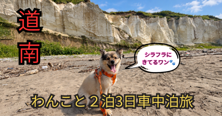 道南車中泊旅　アイキャッチ　シラフラ